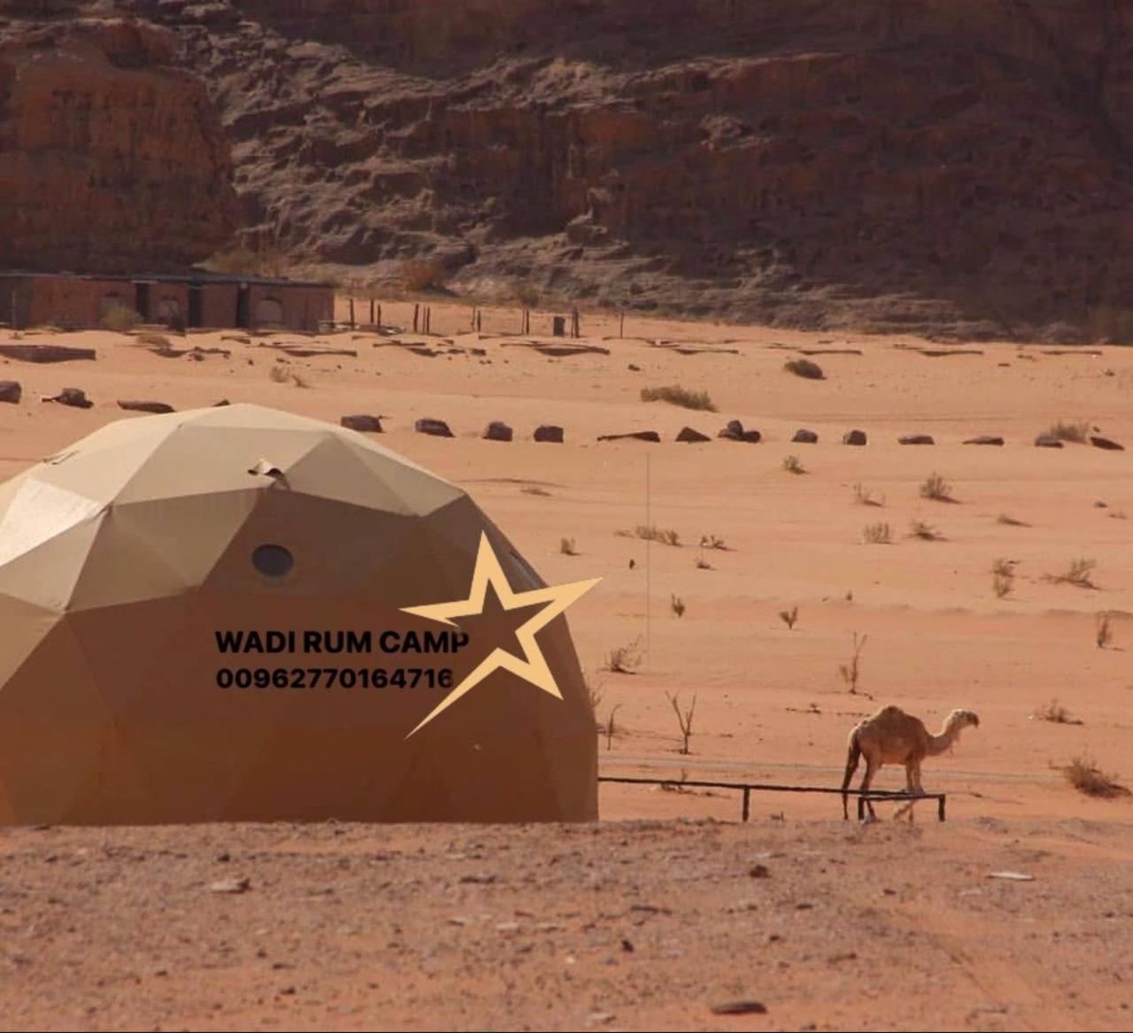 Star Wadi Rum